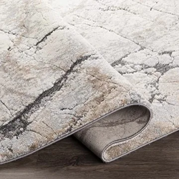 Hauteloom Cavetown Area Rug - Luxurious High Pile Design