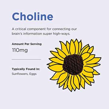 Little Brainiac Variety Pack Organic Fruit & Veggie Snack Brain Boosting Toddler Pouches, Two Flavor Variety Pack, with Omega-3s DHA/EPA and Choline, Clean Label, BPA-Free, Non-GMO, 3.5 oz, Pack of 12