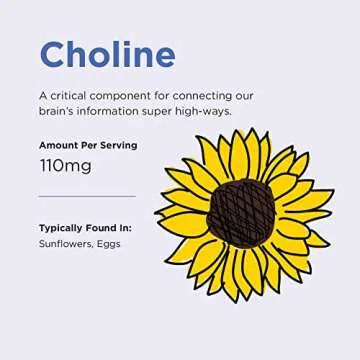 Little Brainiac Variety Pack Organic Fruit & Veggie Snack Brain Boosting Toddler Pouches, Two Flavor Variety Pack, with Omega-3s DHA/EPA and Choline, Clean Label, BPA-Free, Non-GMO, 3.5 oz, Pack of 12