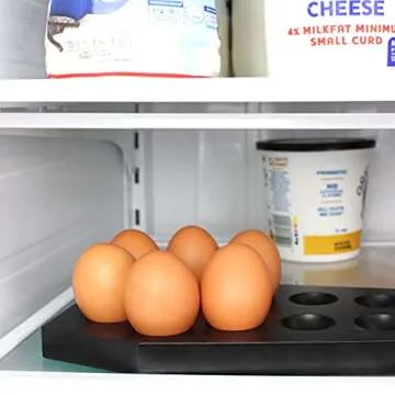 Coffin Egg Tray - Unique Gothic Kitchen Decor