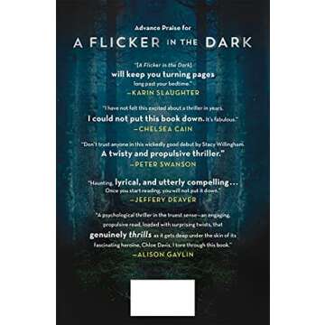 A Flicker in the Dark Engaging Psychological Thriller