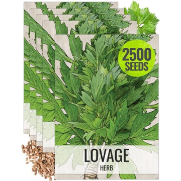 Seed Needs Lovage Seeds for Planting - Non-GMO, Heirloom & Untreated - Organically Grow Your own Med...
