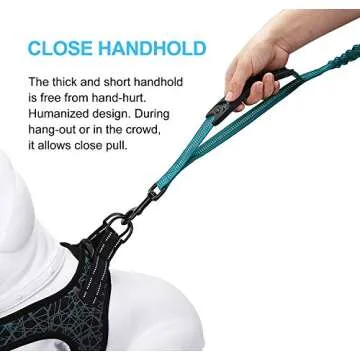 LEADSOM 6FT Highly Reflective Heavy Duty Elastic Bungee Medium and Large Dog Leash Shock Absorbing with Comfortable Padded Handle and Traffic Handle Suitable for Training