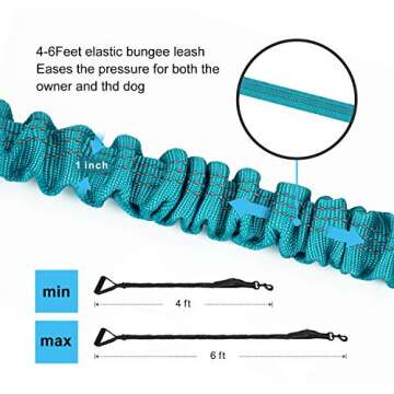 LEADSOM 6FT Highly Reflective Heavy Duty Elastic Bungee Medium and Large Dog Leash Shock Absorbing with Comfortable Padded Handle and Traffic Handle Suitable for Training
