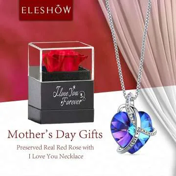 Red Rose & Heart Necklace Gift Set for Women