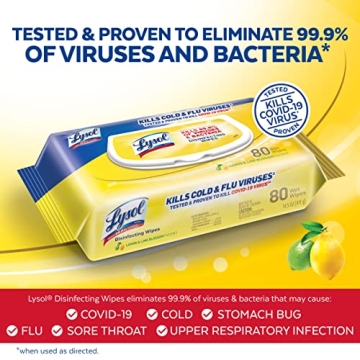 Lysol Disinfectant Handi-Pack Wipes for All Surfaces