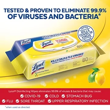 Lysol Disinfectant Handi-Pack Wipes for All Surfaces