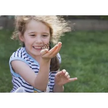 Insect Lore Butterfly Farm - Live Caterpillar Kit for Kids