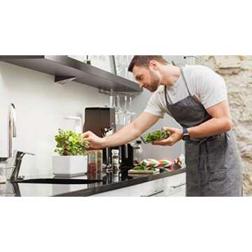 Click and Grow Smart Garden Arugula Plant Pods - Grow Fresh & Nutritious Greens at Home