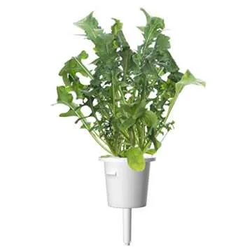 Click and Grow Smart Garden Arugula Plant Pods - 3-Pack