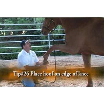 Equine Massage for Performance Horses DVD for Owners and Pros