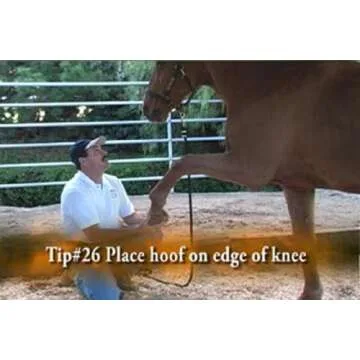 Equine Massage for Performance Horses DVD for Owners and Pros