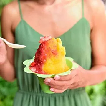 Ice Cub Shaved Ice Machine for Home Parties and Events