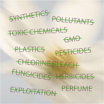 Oi Organic Tampons | Eco-Friendly Comfort and Care