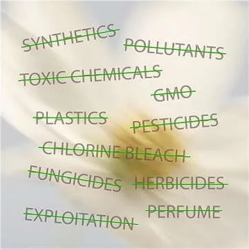 Oi Organic Tampons | Eco-Friendly Comfort and Care