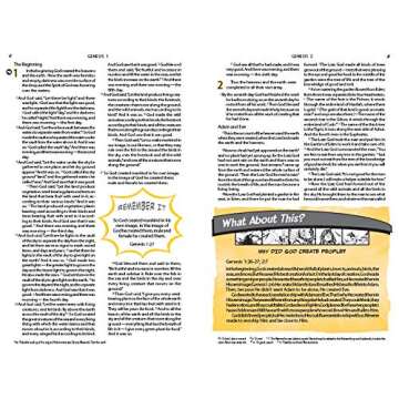 The NIV Action Study Bible