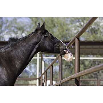 Horsemen's Pride Himalayan Salt Block on Rope for Horses, 4.4 Pounds, SS44