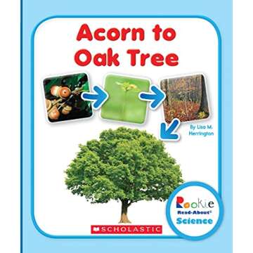 Acorn to Oak Tree (Rookie Read-About Science: Life Cycles)