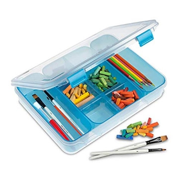 STERILITE Divided Case for Easy Organization
