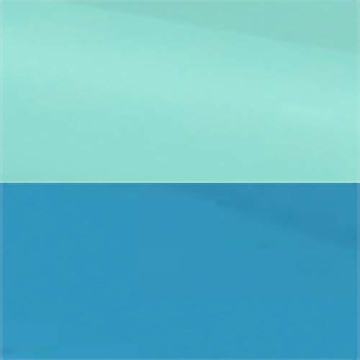 STERILITE Divided Case for Easy Organization