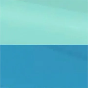 STERILITE Divided Case for Easy Organization