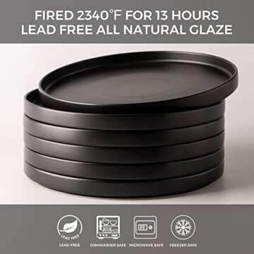 AmorArc Ceramic Plates Set 6 Elegant Matte Black Dishes