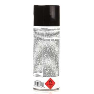 Dupli-Color Trim & Bumper Spray Paint - Black - 11 oz.