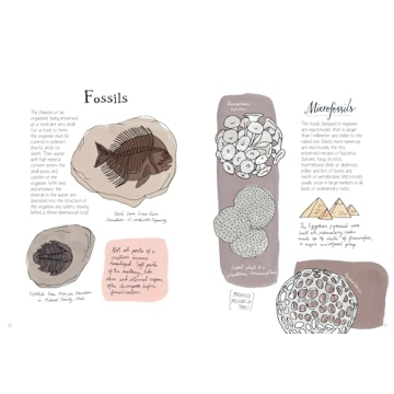 Nature Anatomy Explore Nature's Wonders with Stunning Illustrations