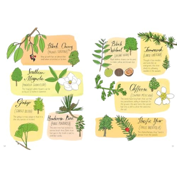 Nature Anatomy Explore Nature's Wonders with Stunning Illustrations