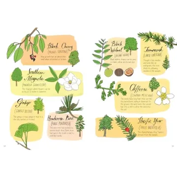 Nature Anatomy Explore Nature's Wonders with Stunning Illustrations