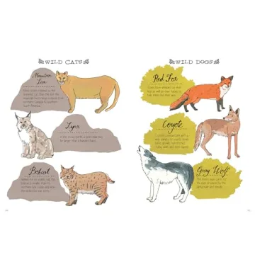 Nature Anatomy Explore Nature's Wonders with Stunning Illustrations