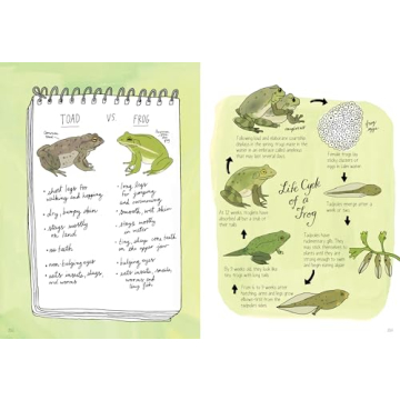 Nature Anatomy Explore Nature's Wonders with Stunning Illustrations