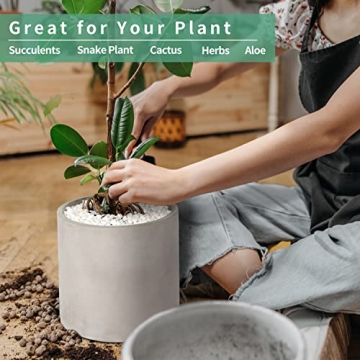 Mozing Cement Plant Pot - 12" Modern Concrete Planter