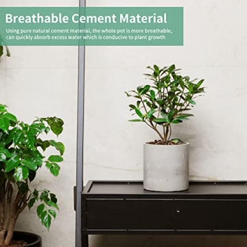 Mozing Cement Plant Pot - 12" Modern Concrete Planter