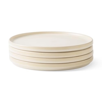 AmorArc Stoneware Dinner Plates Set of 4, 10.25 Inch Reactive Matte Glaze Ceramic Plates Set, Modern...