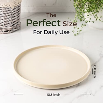 AmorArc Stoneware Dinner Plates Set of 4 Modern Design
