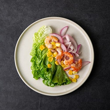 AmorArc Stoneware Dinner Plates Set of 4 Modern Design