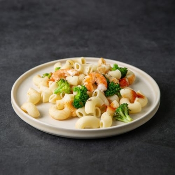 AmorArc Stoneware Dinner Plates Set of 4 Modern Design