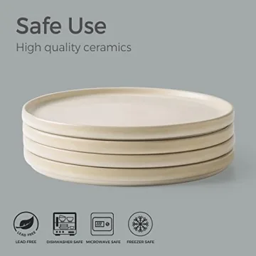AmorArc Stoneware Dinner Plates Set of 4 Modern Design