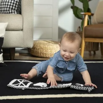 Baby Einstein Farm Explorers Counting at The Farm Soft Activity Book, Multisensory, for Tummy Time, Ages 0+ Months