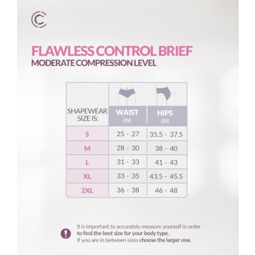 Curveez High Waisted Tummy Control Panties for Women