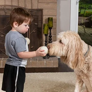 Wool Dryer Balls XL 6-Pack Eco-Friendly Laundry Solution