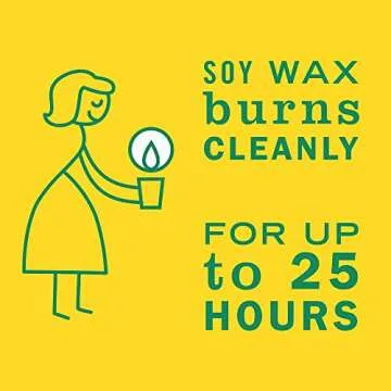 MRS. MEYER'S Honeysuckle Scented Candle, 25 Hour Burn Time