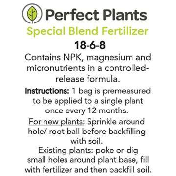 Carnes PEAR Tree - Size: 3-4 ft, Live Plant, Includes Special Blend Fertilizer & Planting Guide