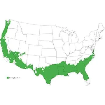 Carnes PEAR Tree - Size: 3-4 ft, Live Plant, Includes Special Blend Fertilizer & Planting Guide