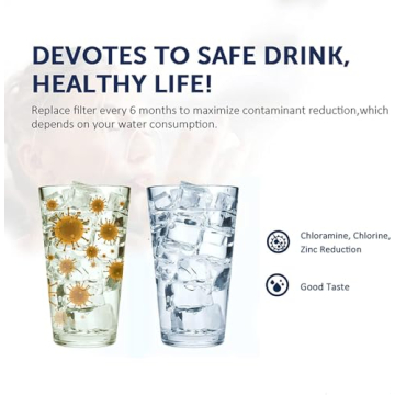 Affordable ICE2 F2WC9I1 Ice Maker (2-Packs) for Everyone