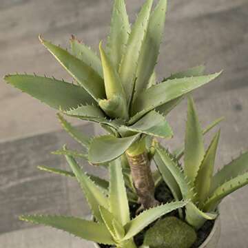 Sullivans Artificial Succulent Plants in Distressed Tan Painted Pot, Aloe, 14”H (DOT121)
