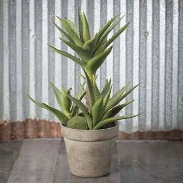 Sullivans Artificial Succulent Plants in Distressed Tan Painted Pot, Aloe, 14”H (DOT121)