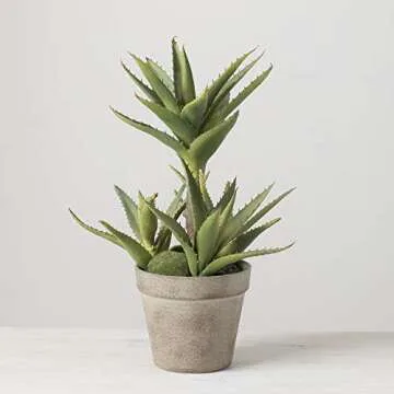 Sullivans Artificial Succulent Plants in Distressed Tan Painted Pot, Aloe, 14”H (DOT121)
