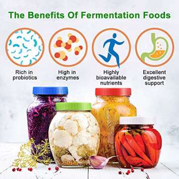 Fermentation Lids